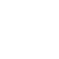 Professional Team